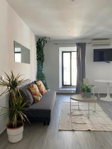 Apartamentos Ceo - Remedios