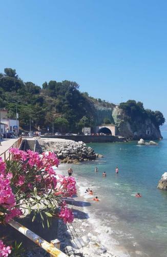 Apartment For Rent Lungomare Ensi