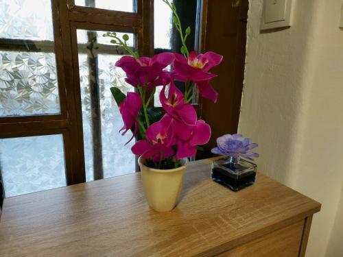 Lovely, Neat And Quite Apartment Dalia
