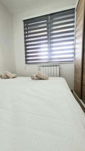 Apartment D-09, Sarajevo