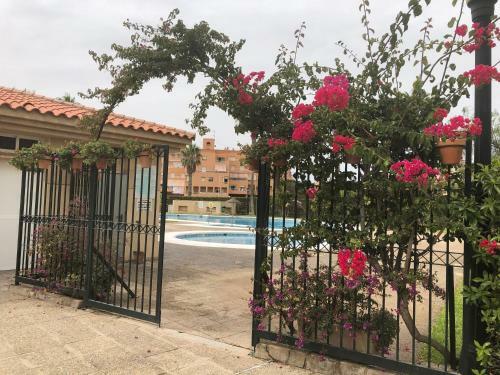 Apartamento Vacaciones En El Mar