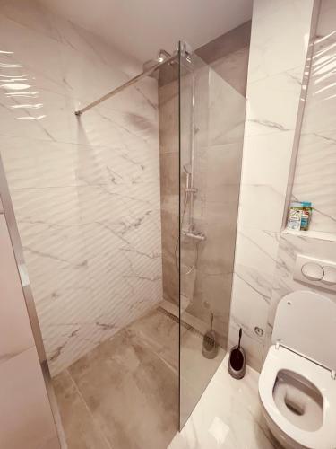 Apartment 7