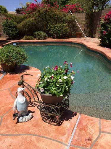 Amazing Home With Private Heated Pool