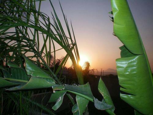 Fantastic 1 Bed Apartment Opposite 4 Seasons Limassol