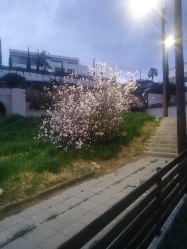 Apartamento Rolandos Apts