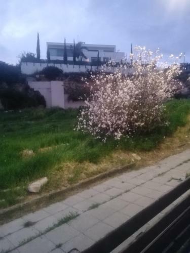 Apartamento Rolandos Apts