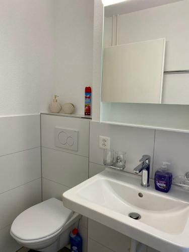 City Center Premium Apartment - Buchs Sg