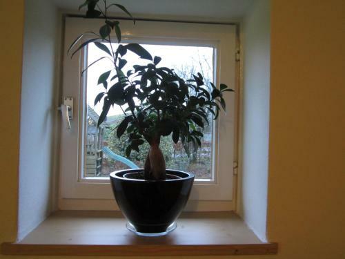 Hotel De Martiene Plats B&B & Appartement