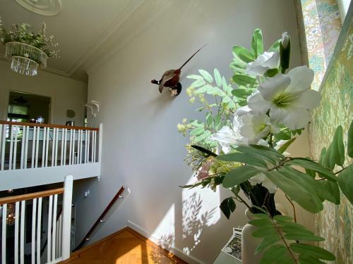 Bed & Breakfast Gastenverblijf De Korenhorst