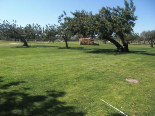 Apartamento Ronda Barbiguera, 1 Aldea Golf Apt 3210
