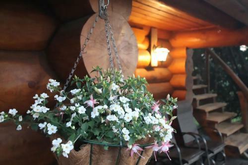 Excellent Log House With A Sauna In Lahemaa!