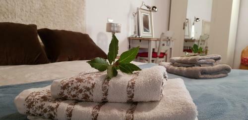Agroturismo Casa Rural La Jara Blanca