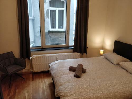 Apartamento Flat Brussels Center