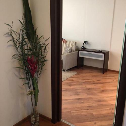 Apartamento Adel Jacobs