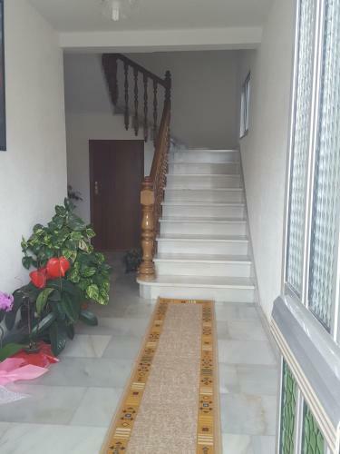 Apartamento Casa Artemia
