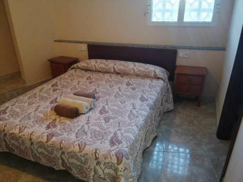 Apartamento Planta Baja Con Gran Terraza de 2 A 4 Habitaciones