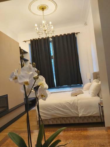 Hostal Brussels 1904