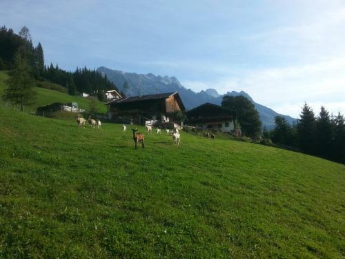 Agroturismo Bauernhof Waldangergut
