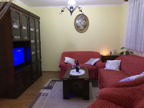 Apartman/stan Na Dan Tesli?