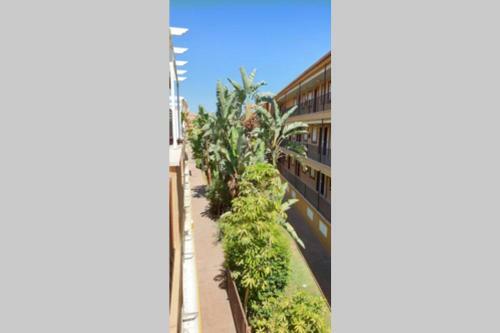 Apartamento A 10 Metros de La Playa Con Piscina