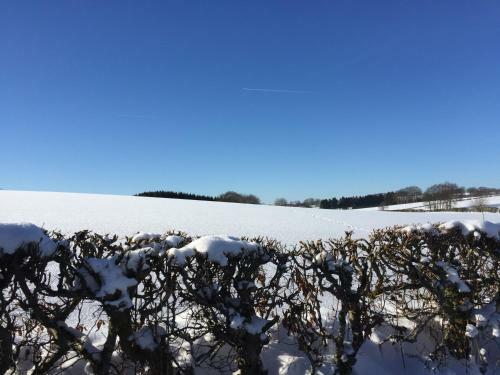 Chalet de Charme, Le "caribou Lodge", Eifel Belge