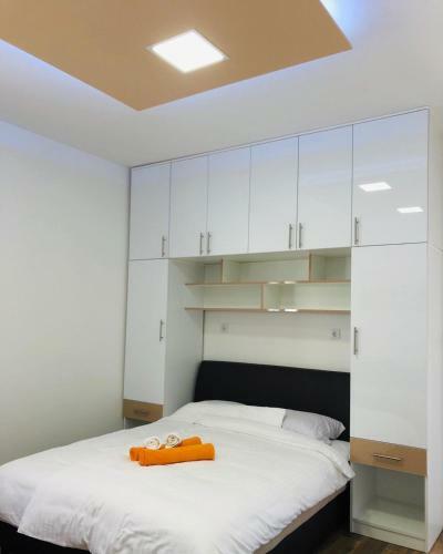 Apartmani ?arovi?