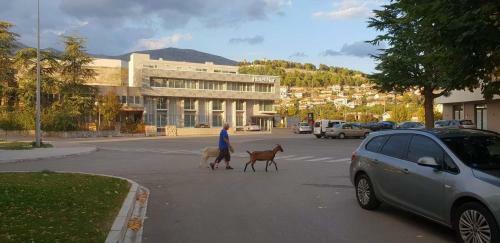Apartman Jovanka 2