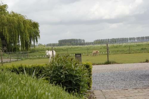 Bed & Breakfast Housing De Brouwerij