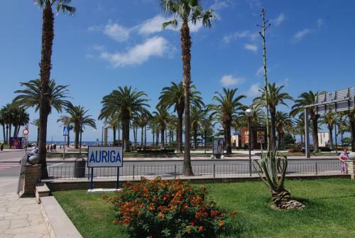 Apartamento Zeus Auriga