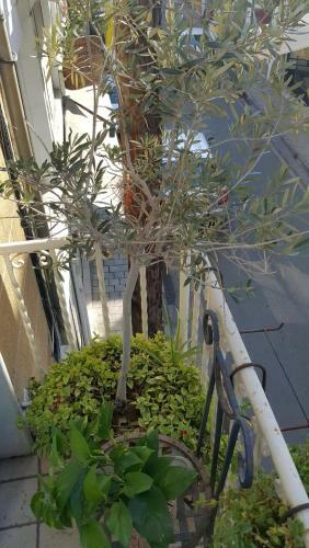 Cozy Downtown Nicosia Apartment