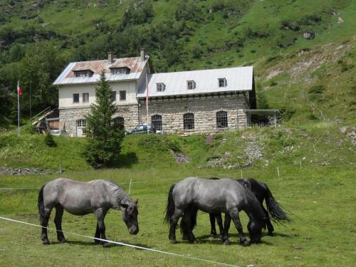 Apartamento Lothringer Bauernhof Urlaub Am Lothringerhof