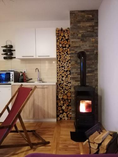 Studio Apartman Paradise