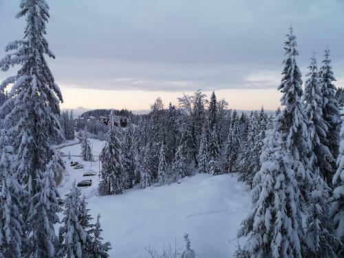 Apartamento Jahorinska Vila - App Srce Jahorine