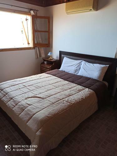 Pachyammos Sea View House