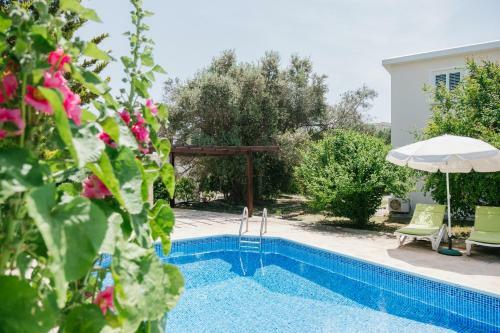 Five Greeks 4 Bedroom Villa In Paphos
