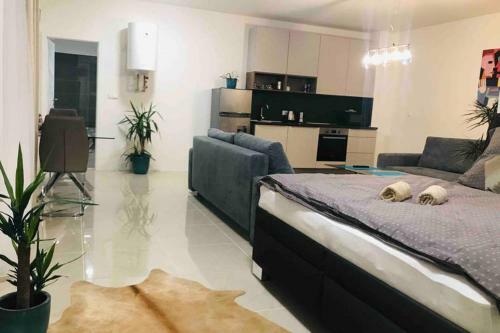 Apartment Right In The Center Of Brno