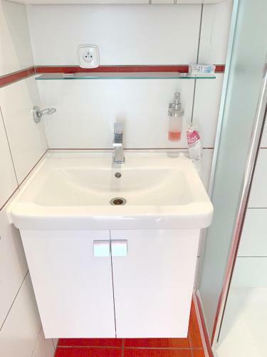 Kr�sn� Apartm�n U Lesa Bl�zko Centra A Bvv