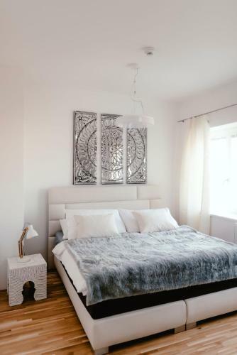 Luxury Apartments Zelny TRH