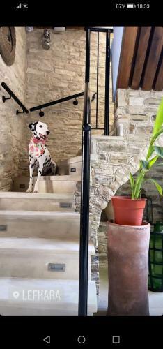 Hostal Lazaros Stonehouse