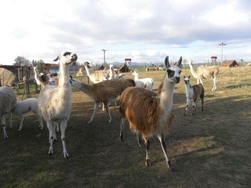 Agroturismo Farma Wenet