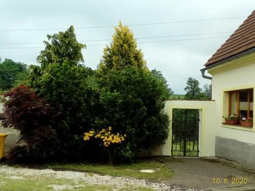Statek-hofje