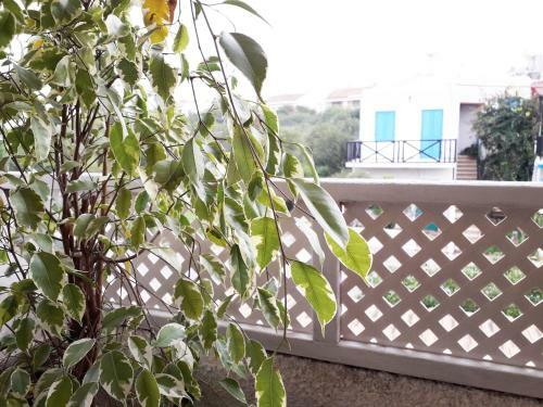 Apartamento Protaras Happy Sunny Holidays