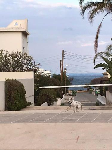 Apartamento Sunny Holiday By Konnos