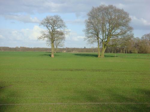 Vakantieboerderij B&B De Luttikhoeve