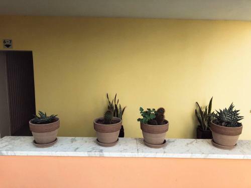 Apartamento Katsikantaris Homes
