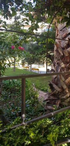 Apartamento Fortuny II