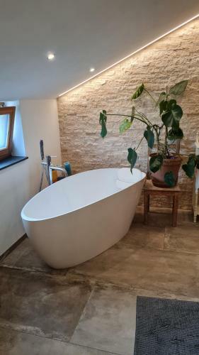 Apartamento Adlerhorst