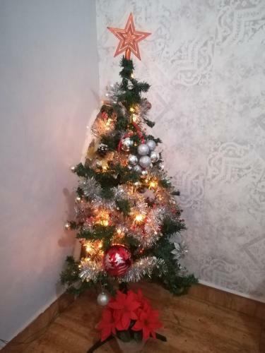 Apartamento El Peque de Tamaide San Miguel de Abona