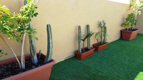 Apartamento Aguamarina 812