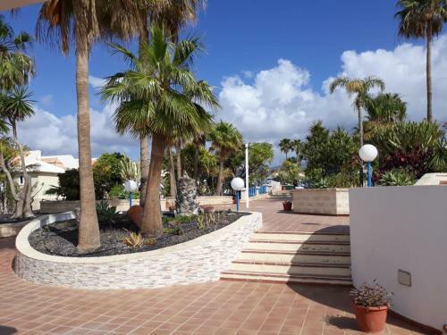 The Palms Apartaments